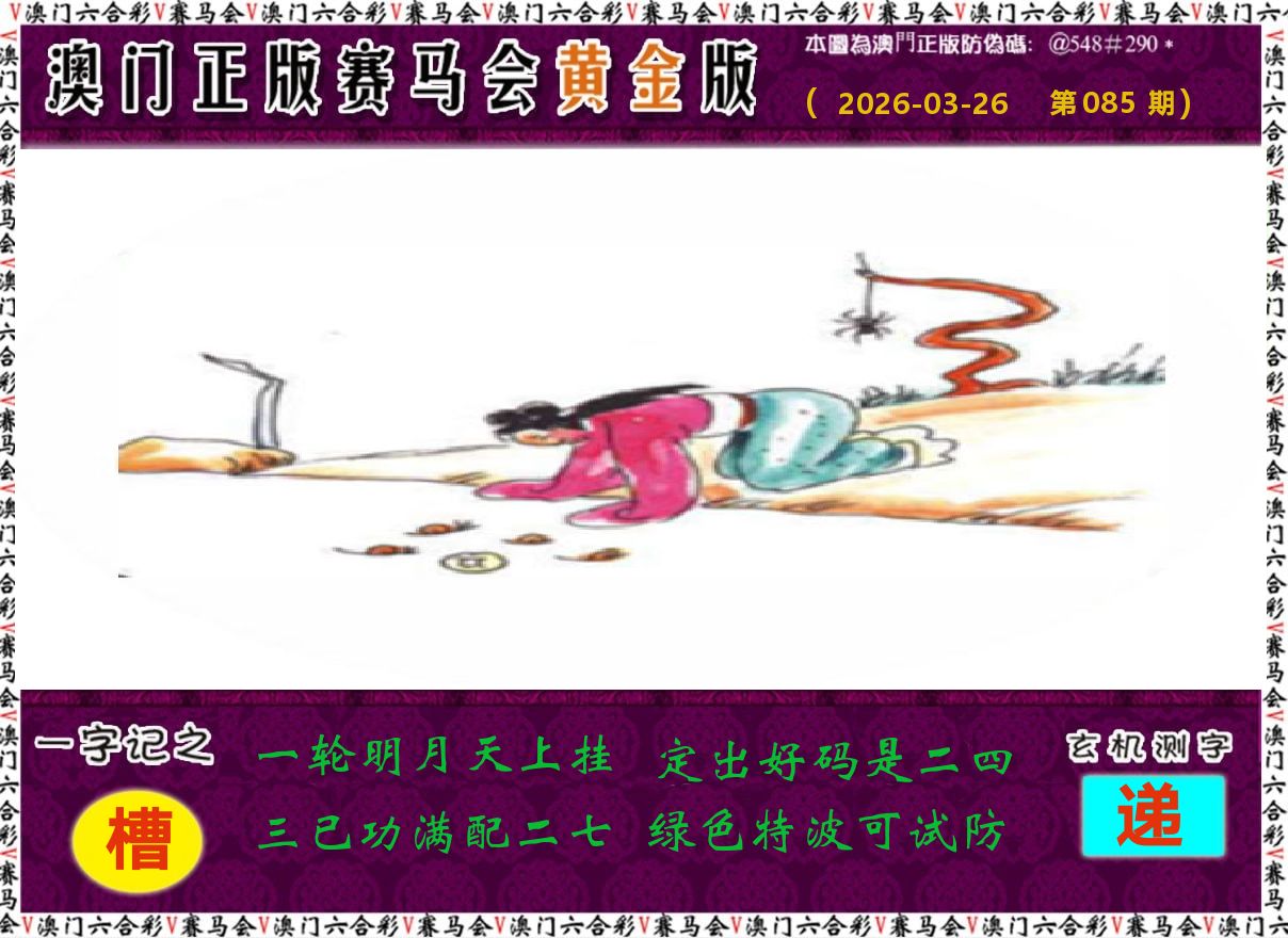 赛马会黄金版 第85期