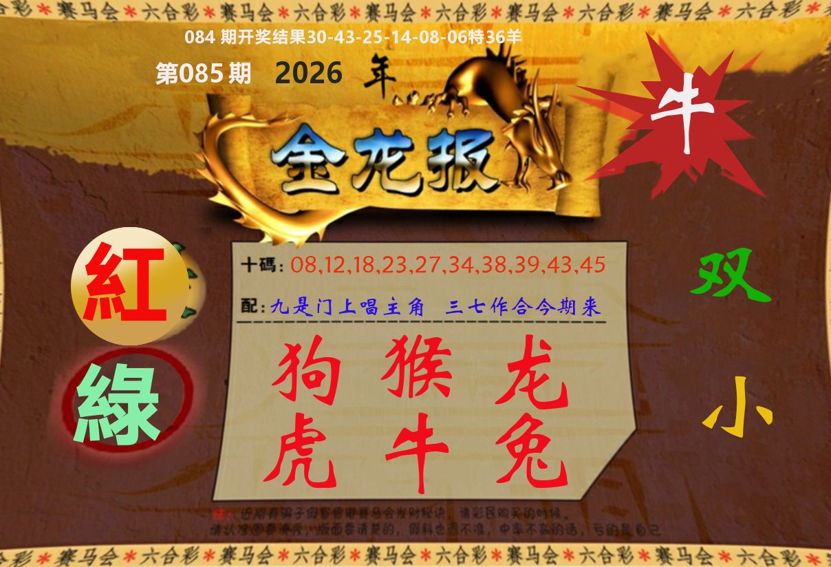 金龙报 第85期