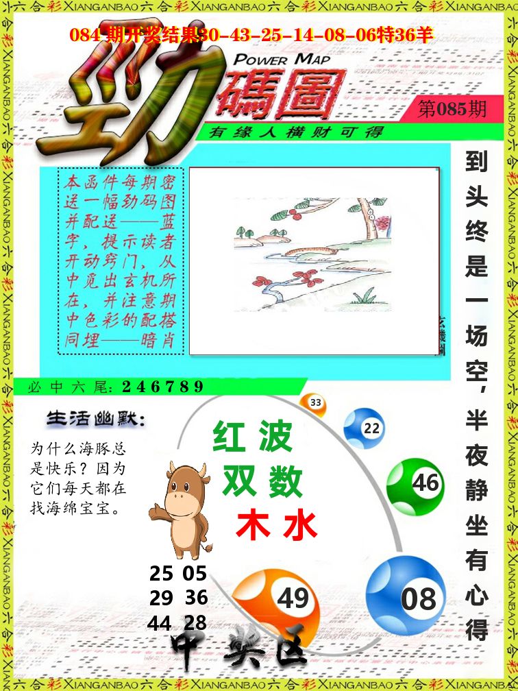 劲码图 第85期