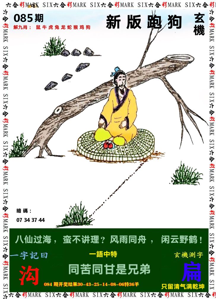 悟入其图 第85期
