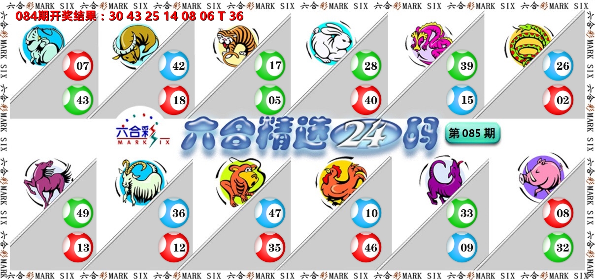 六合精选24码 第85期