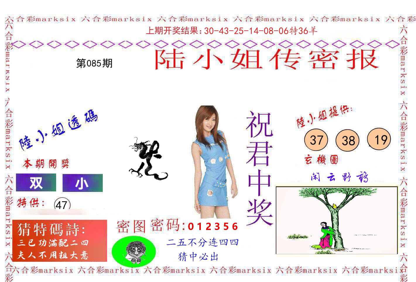 陆小姐密报 第85期