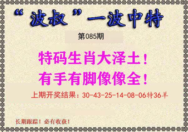 波叔中特 第85期