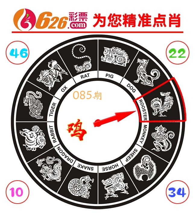 精准点肖 第85期