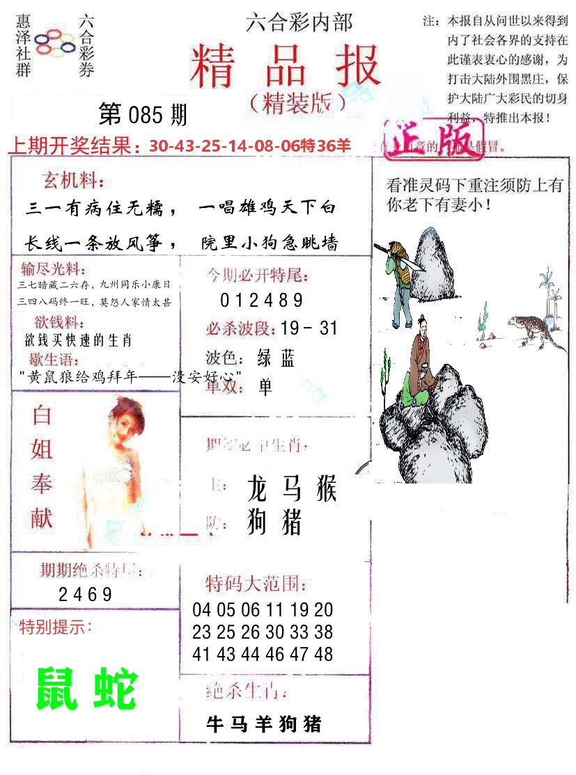 精品报 第85期