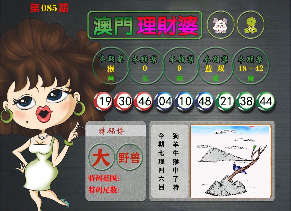 理财婆 第85期