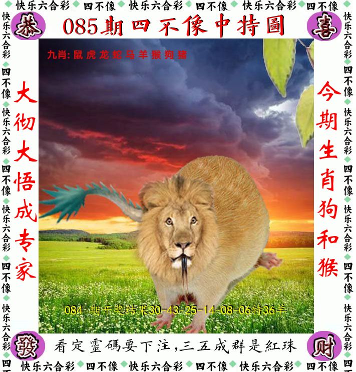 四不像 第85期