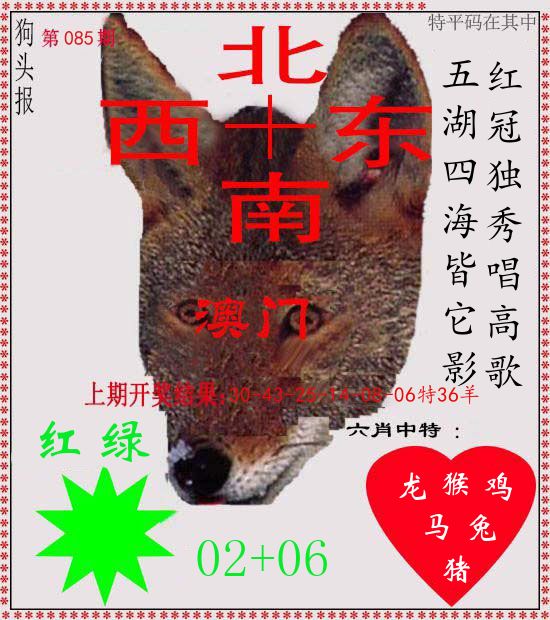 狗头报 第85期