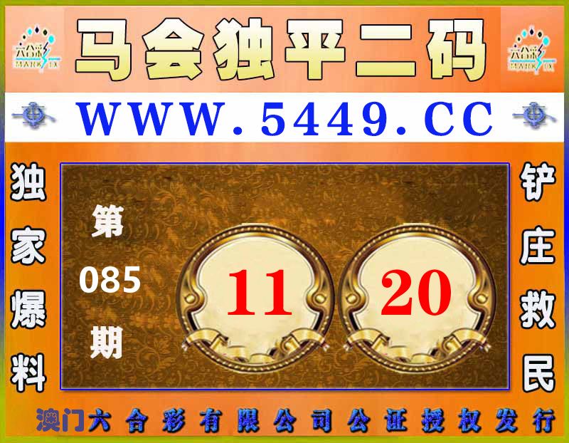 马会独平二码 第85期