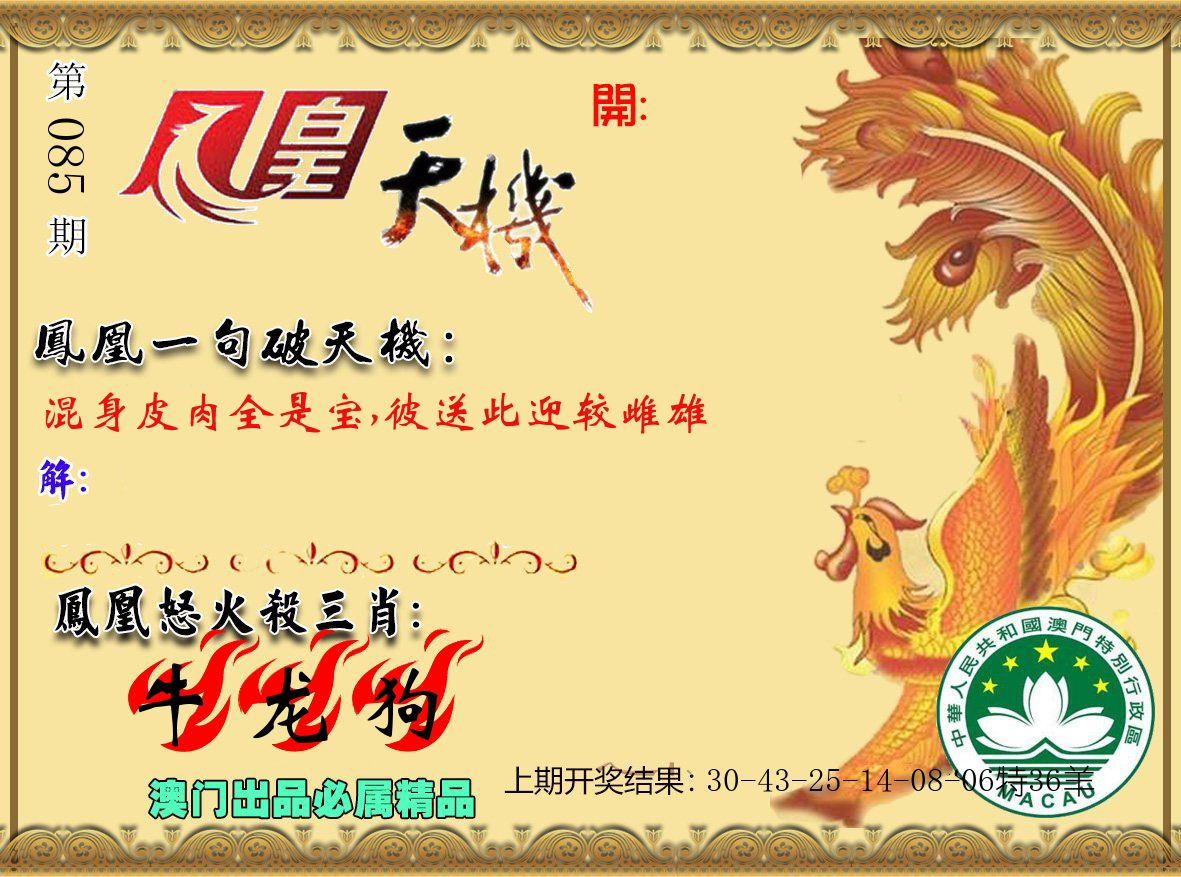 凤凰天机 第85期