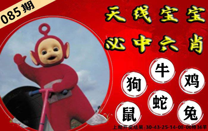 天线宝宝六肖 第85期