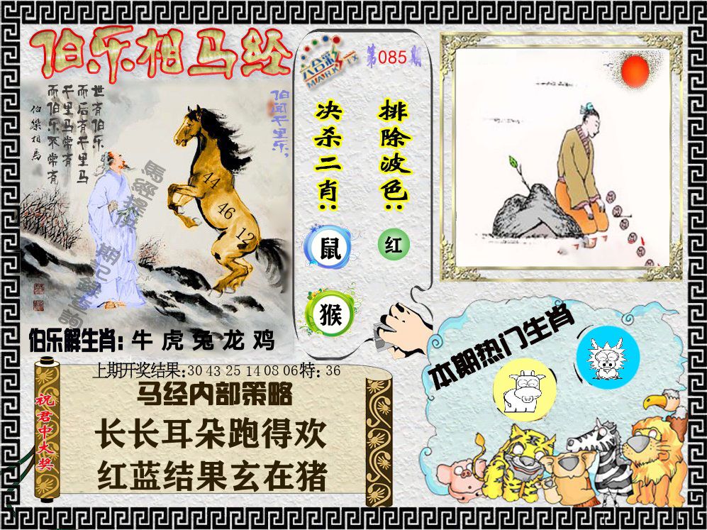 伯乐相马经 第85期