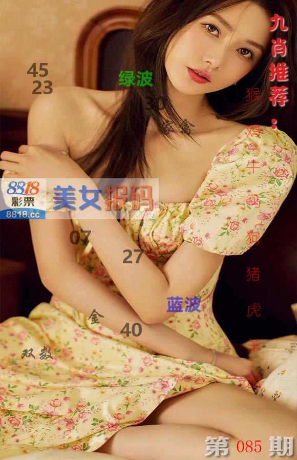 美女报码 第85期
