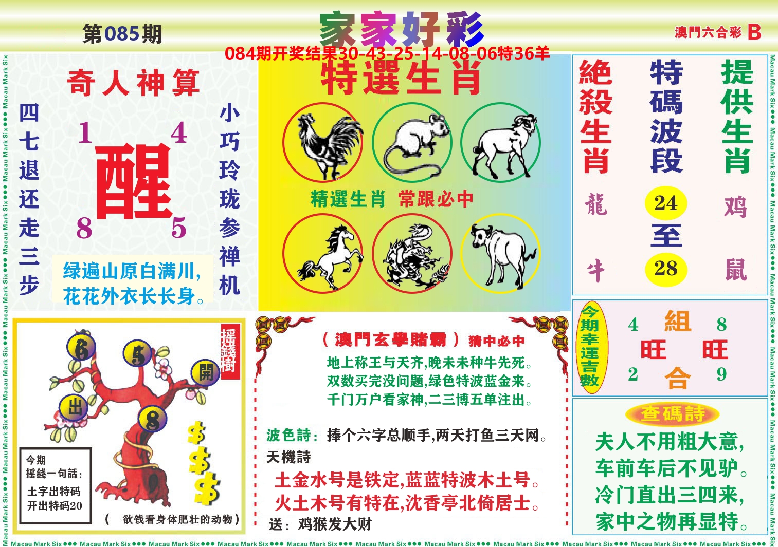 家家好彩B 第85期