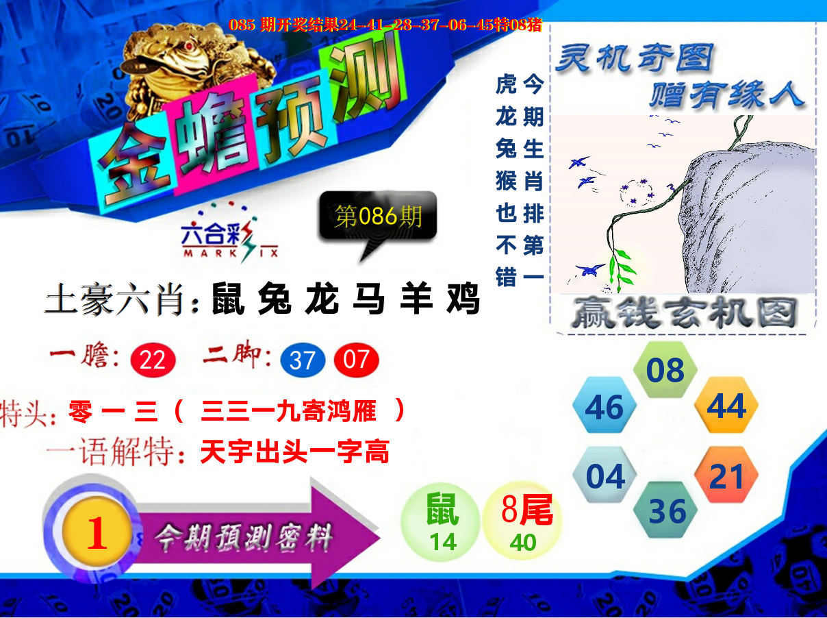 金蟾预测 第86期
