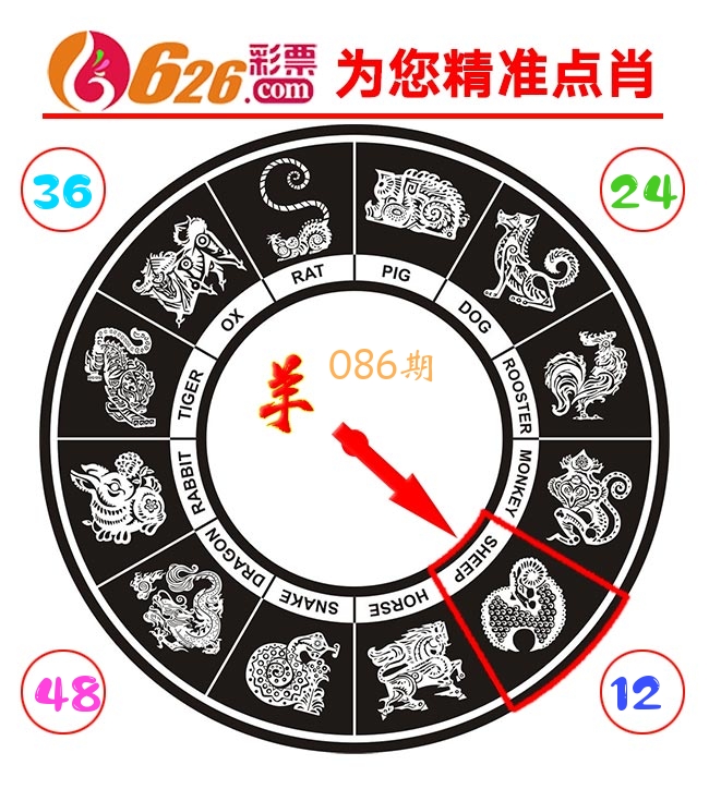 精准点肖 第86期