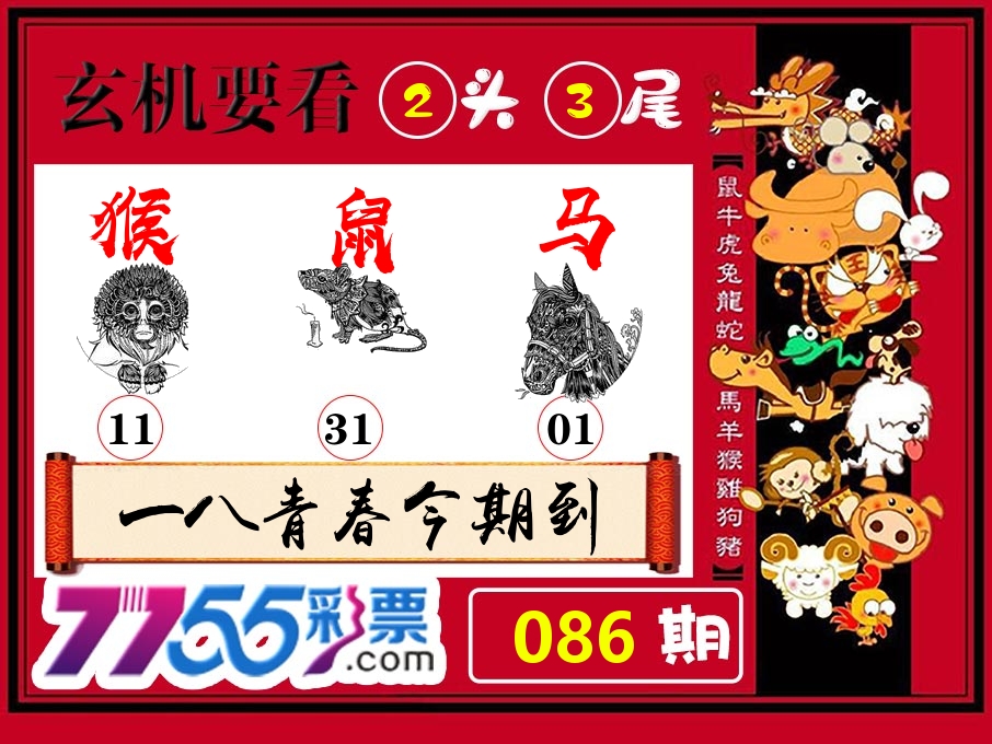 玄机要看 第86期