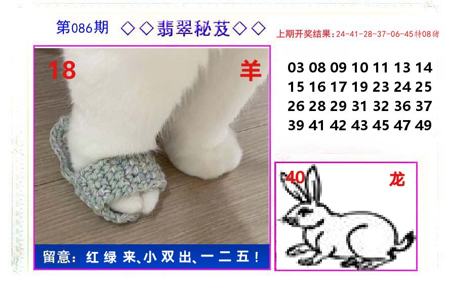翡翠秘芨 第86期