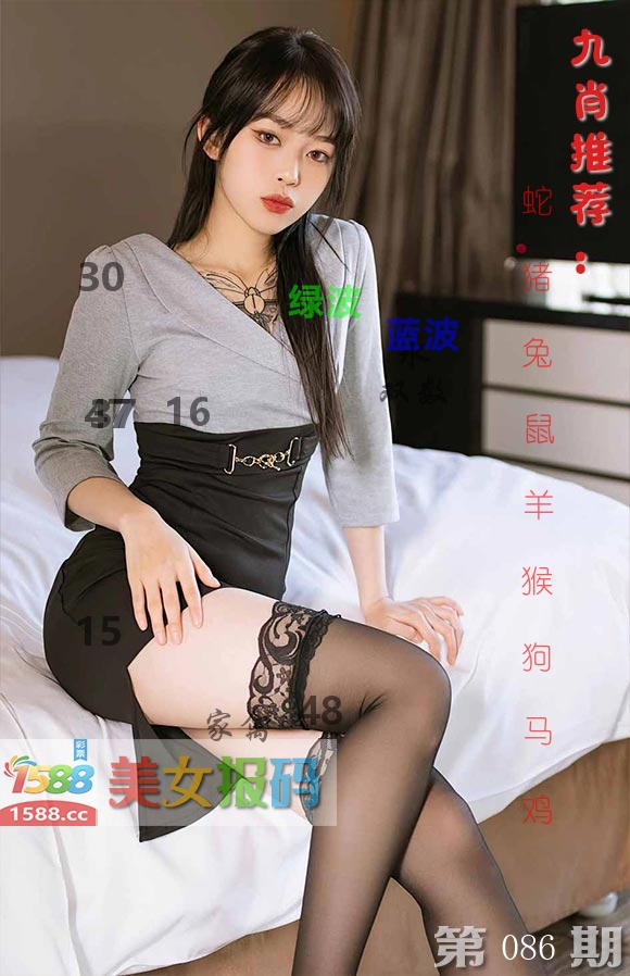 美女报码 第86期