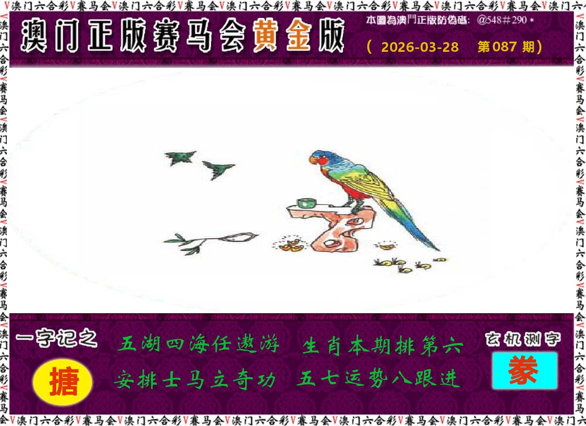 赛马会黄金版 第87期