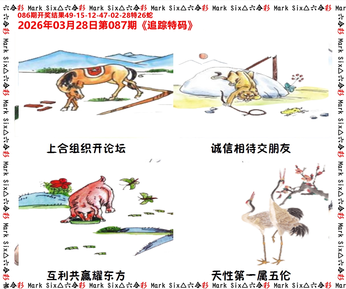 追踪特码 第87期
