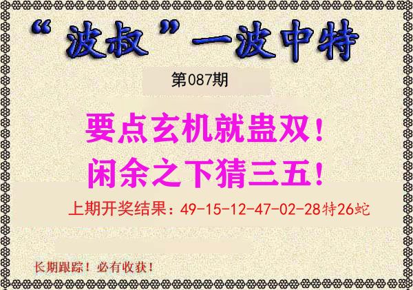 波叔中特 第87期