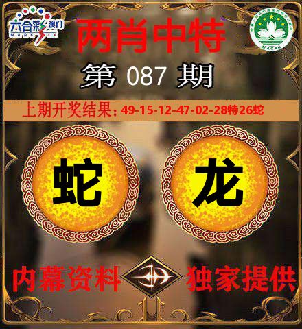 两肖中特 第87期