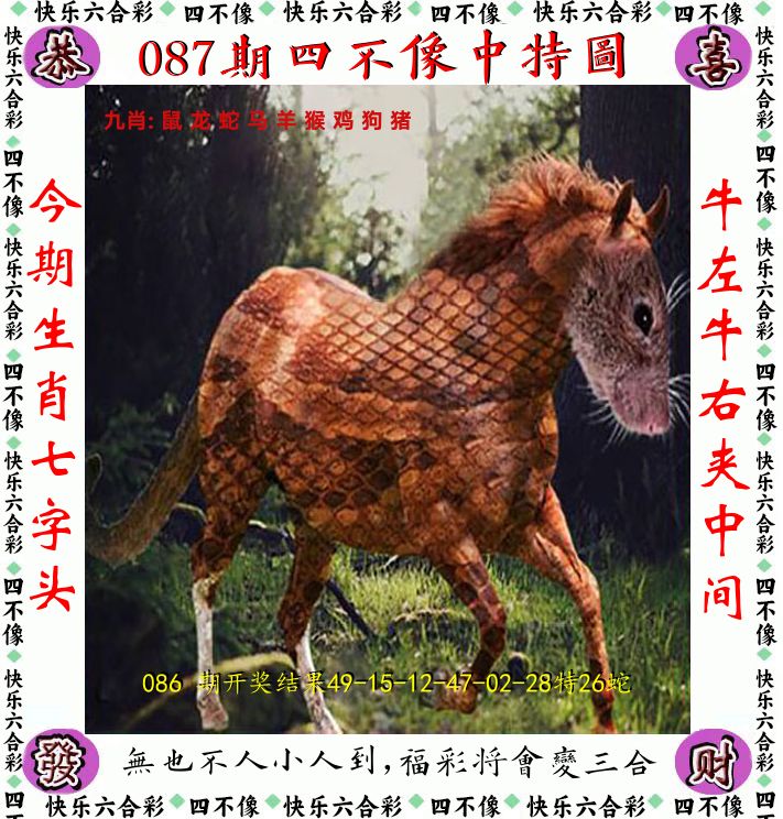 四不像 第87期