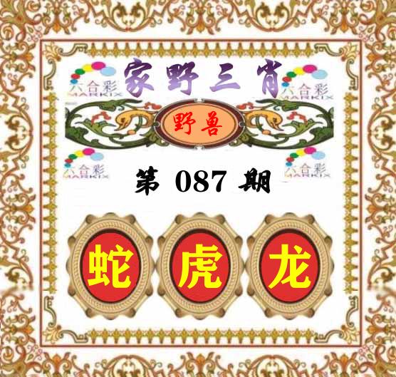 家野三肖 第87期