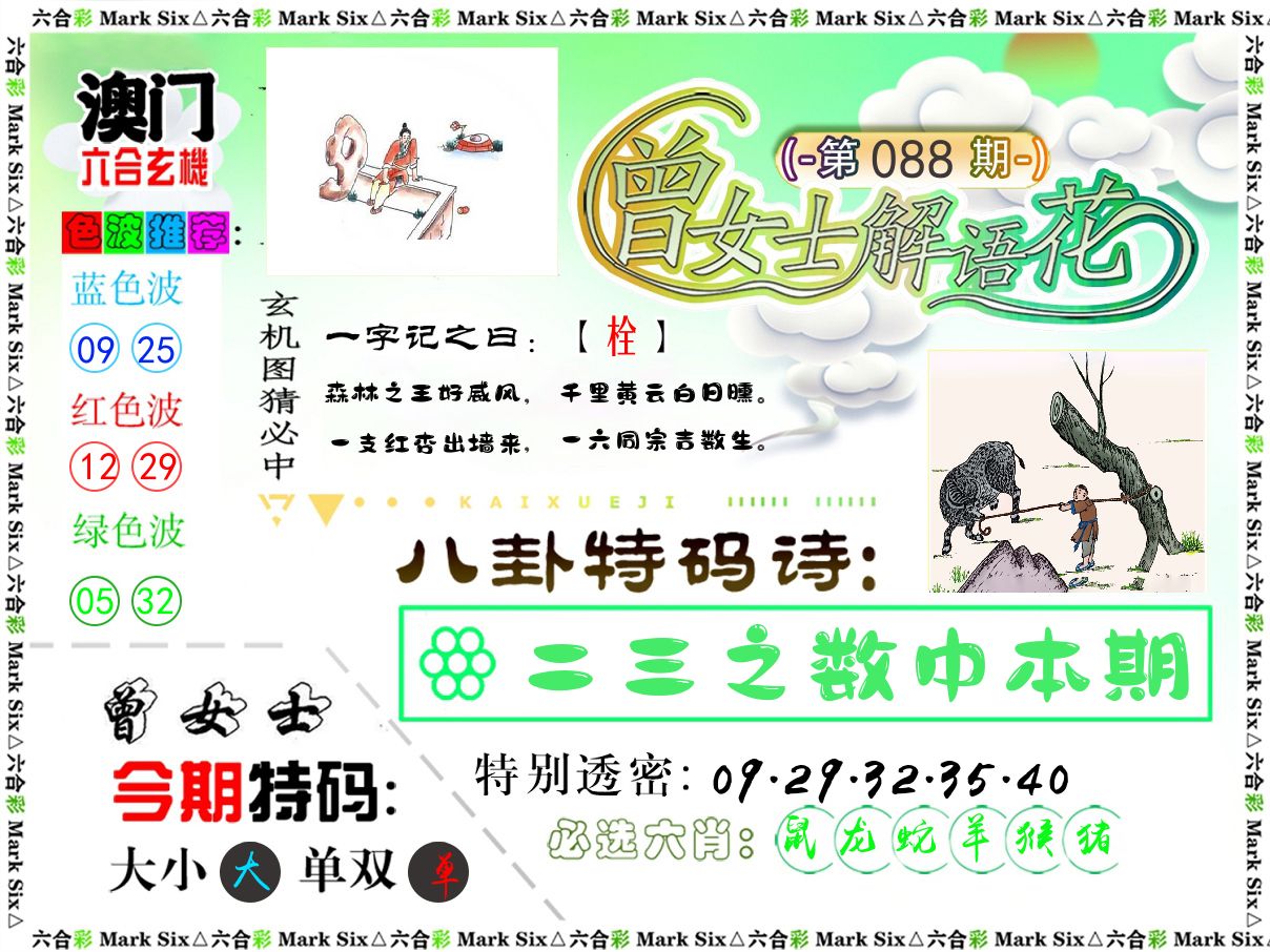 曾女士解语花 第88期