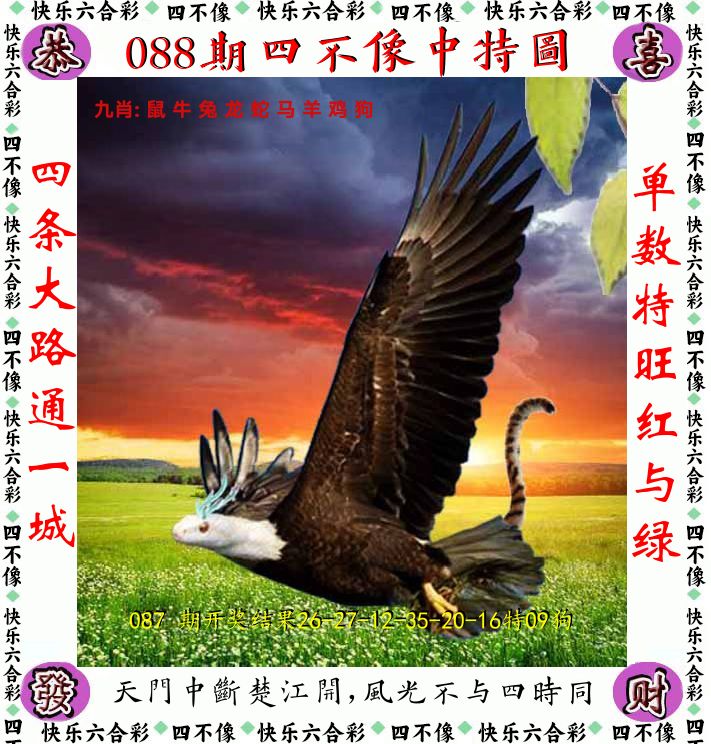 四不像 第88期