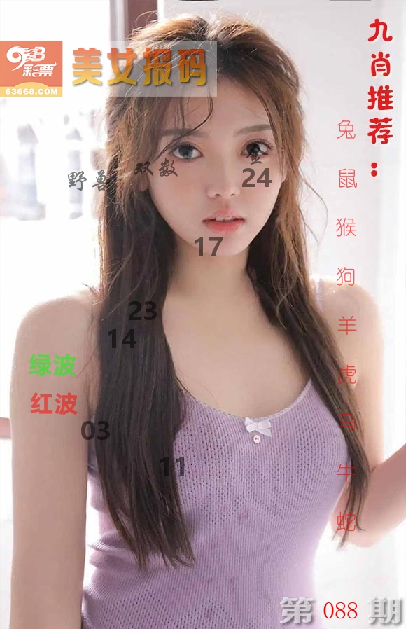 美女报码 第88期