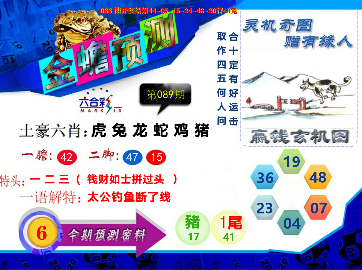 金蟾预测 第89期