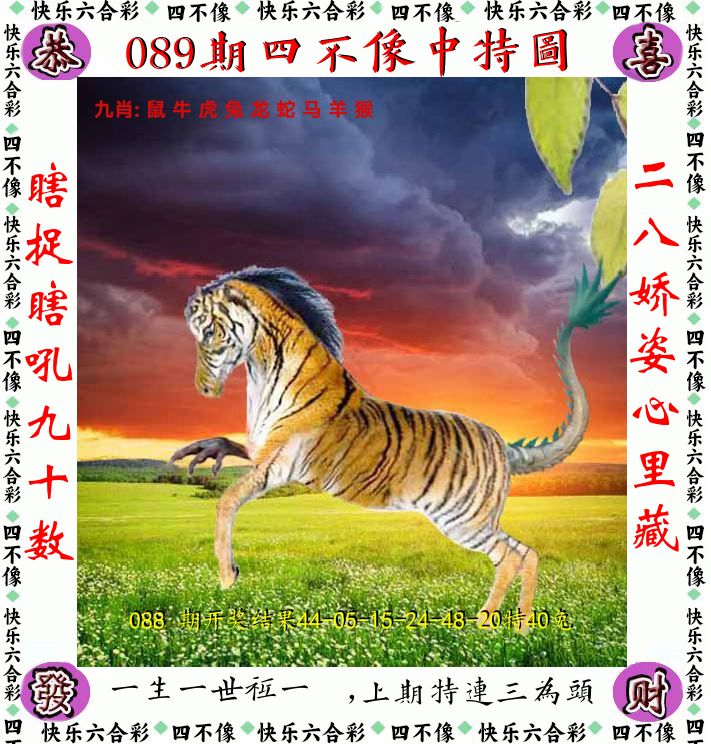 四不像 第89期