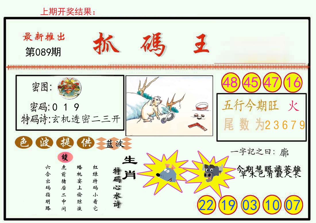 最新抓码王 第89期