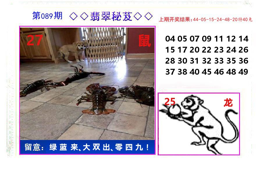 翡翠秘芨 第89期