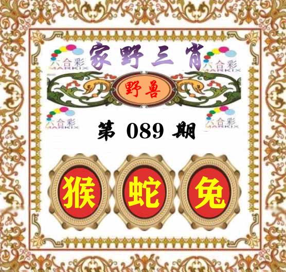 家野三肖 第89期