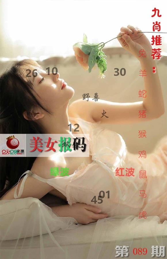 美女报码 第89期