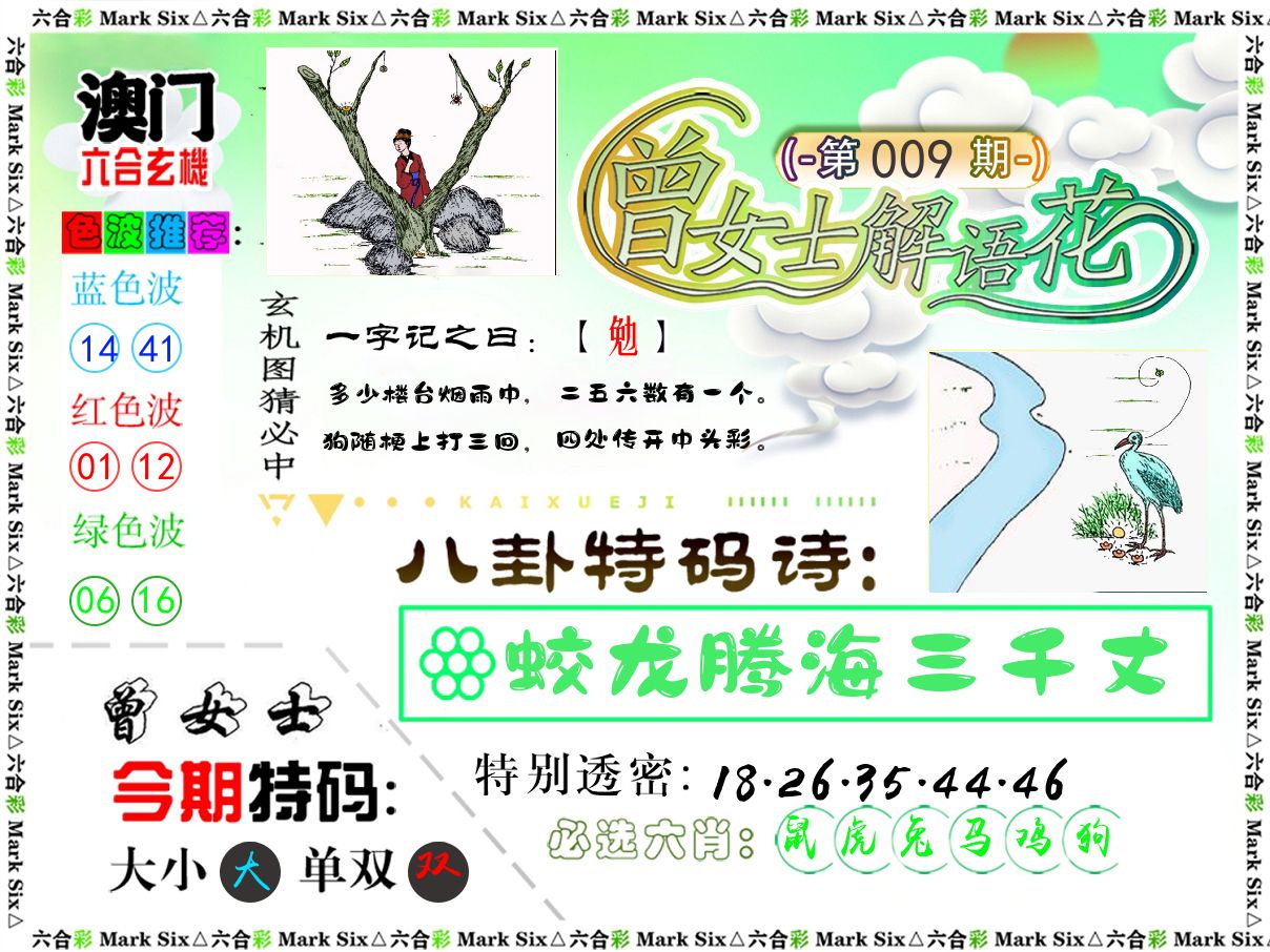 曾女士解语花 第9期