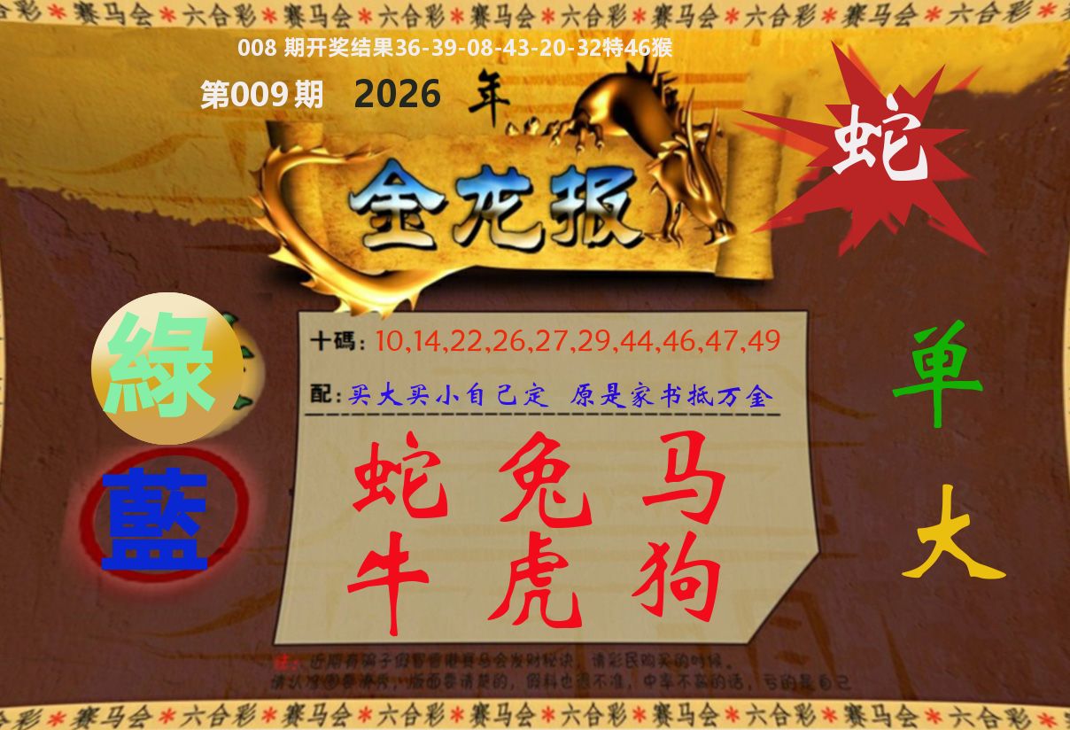 金龙报 第9期