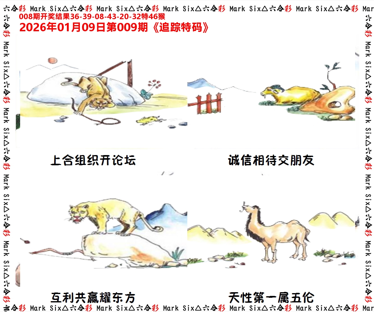 追踪特码 第9期