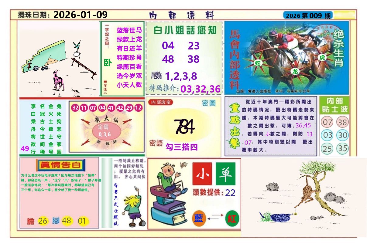 澳门内部透料A 第9期