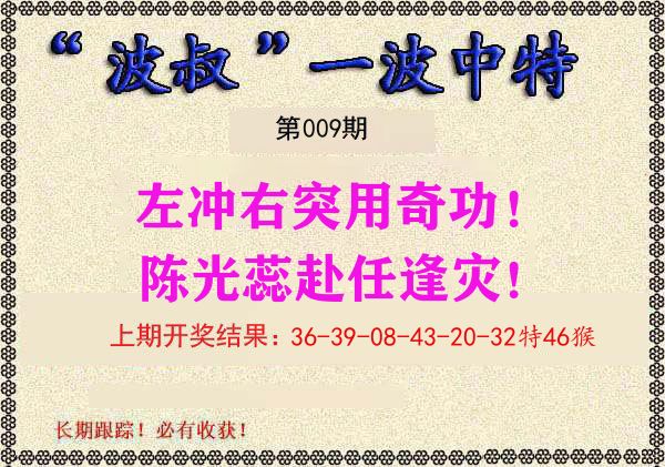 波叔中特 第9期