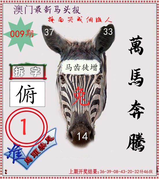 马头报 第9期