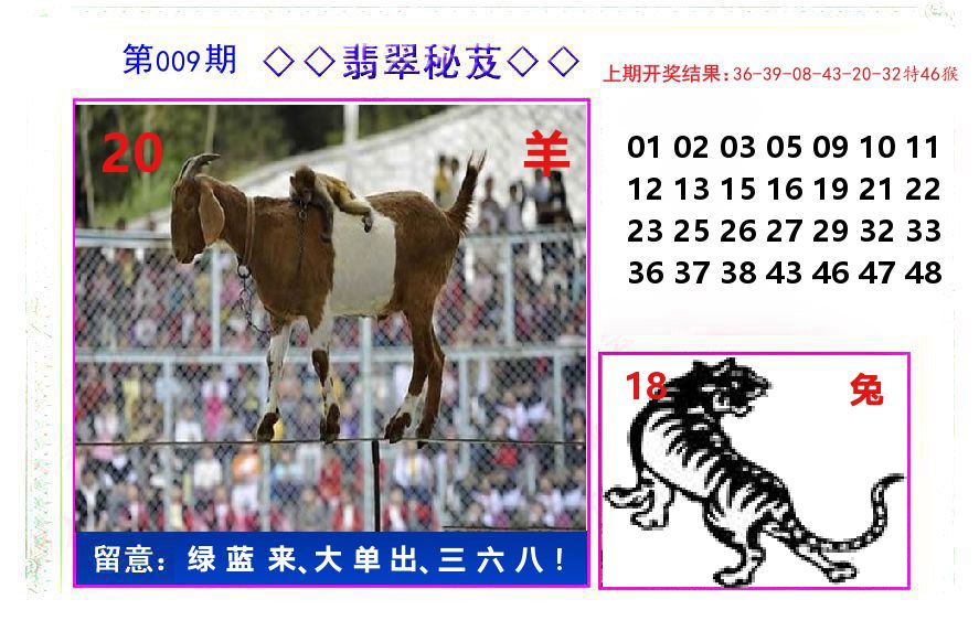 翡翠秘芨 第9期