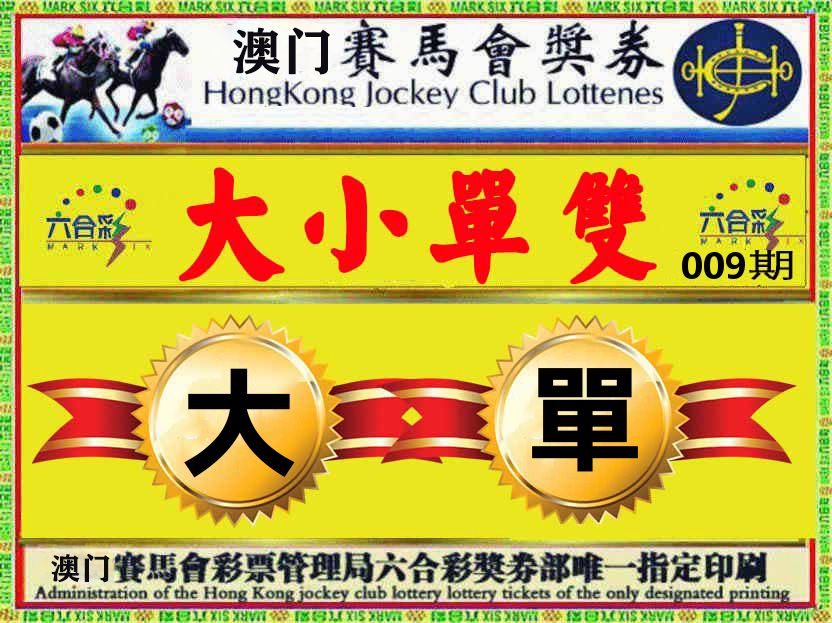 赛马会奖券 第9期