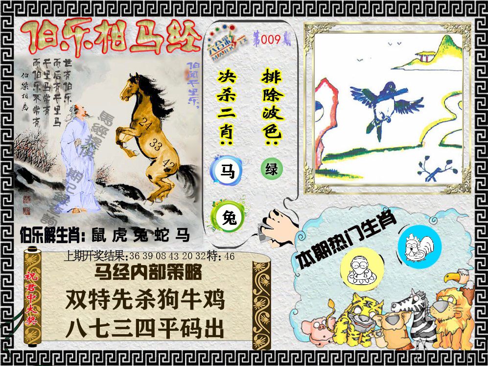 伯乐相马经 第9期
