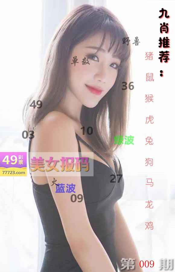 美女报码 第9期