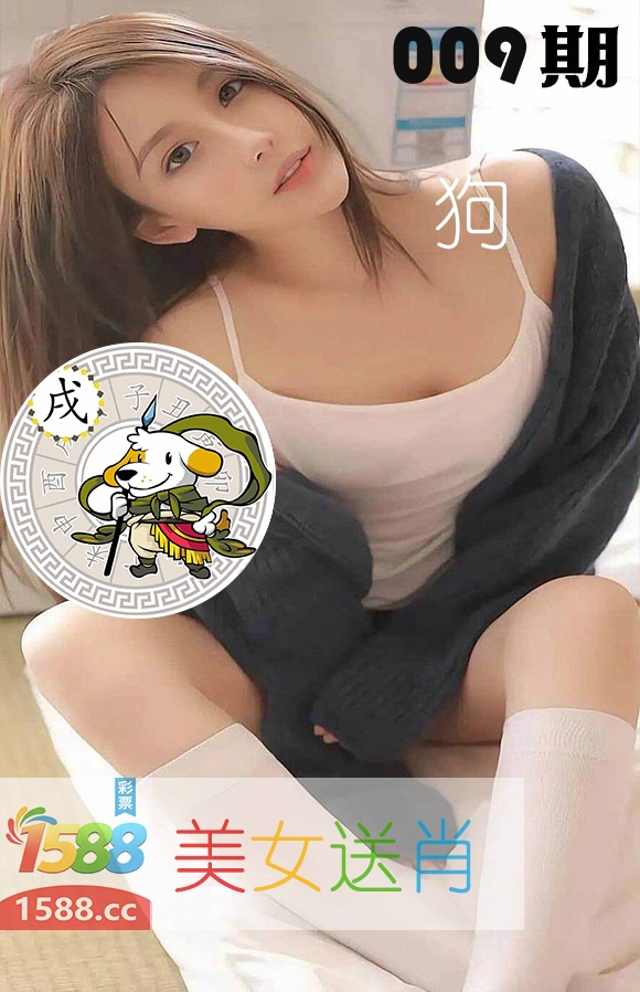 美女送肖 第9期