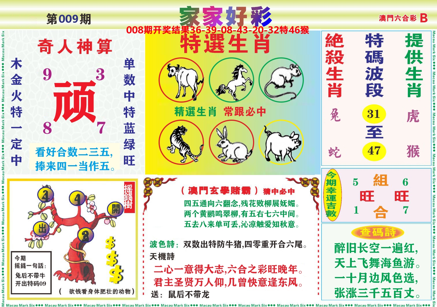 家家好彩B 第9期